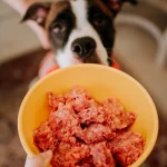 How to Make a Raw Diet for Dogs: Ultimate Guide