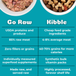 How to Make a Raw Food Diet for Dogs: A Complete Guide