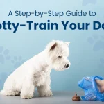 How to Potty Train the Dog: Proven Tips for Success