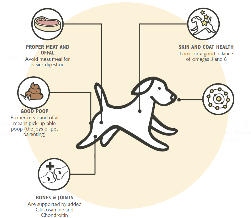 How to Put a Dog on a Diet: Expert Tips & Tricks