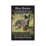 How to Train a Blue Heeler Dog: Expert Tips & Tricks
