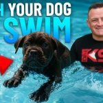 How to Train a Dog to Leave It: Expert Tips & Tricks