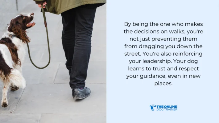 How to Train a Dog to Not Bark: Expert Tips