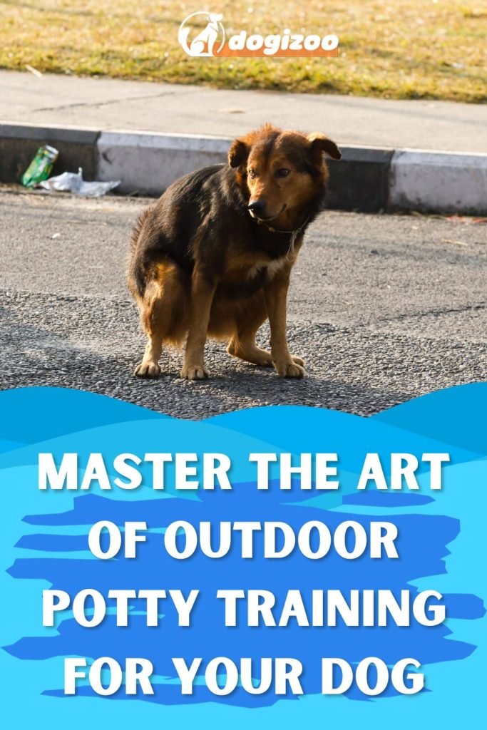 How to Train a Dog to Poop Outside: Simple Steps