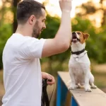 How to Train a Dog to Speak: Step-by-Step Guide