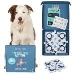 How to Train a Dog to Talk: Unleash Their Voice