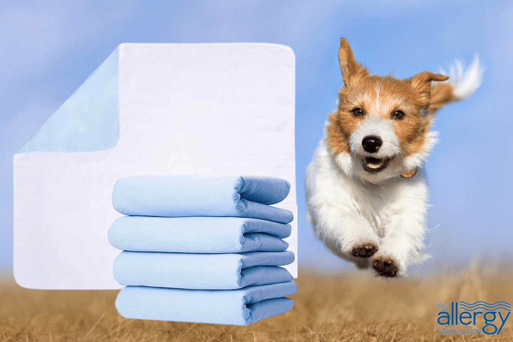 How to Train a Dog to Use a Pee Pad: Expert Tips