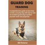 How to Train a Security Dog: Mastering Protection Skills