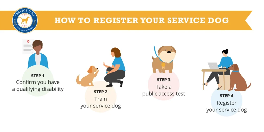 How to Train a Service Dog: Expert Tips & Techniques