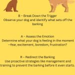 How to Train Dog to Stop Barking: Expert Tips
