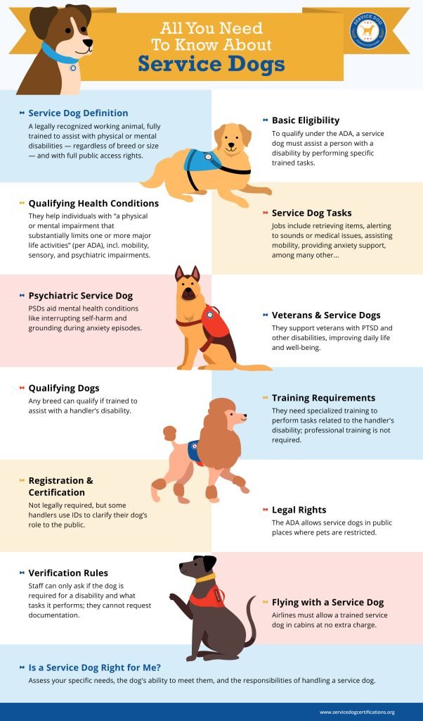 How to Train My Puppy to Be a Service Dog: Expert Tips