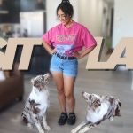 How to Train Your Dog to Lay Down: Easy Guide