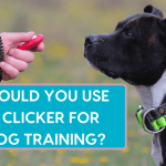 How to Use a Clicker for Dog Training: Expert Tips