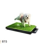 Indoor Potty Training for Dogs: Master the Essentials