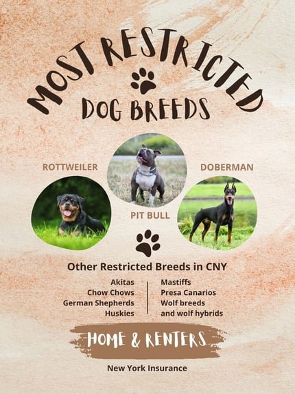 Insurance Dog Breed Restrictions: Navigate Policy Limits