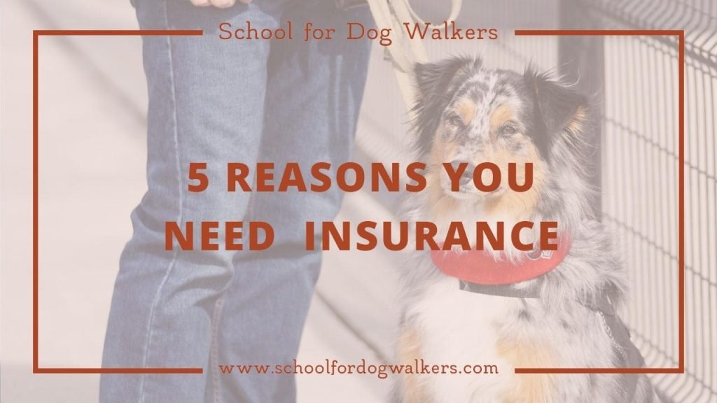Insurance for Dog Walkers: Essential Coverage Guide