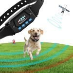 Invisible Fence Dog Training: Mastering Pet Safety