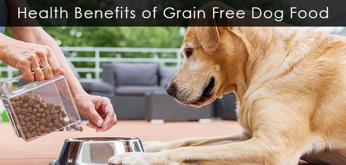 Is a Grain Free Diet Good for Dogs: Discover the Benefits
