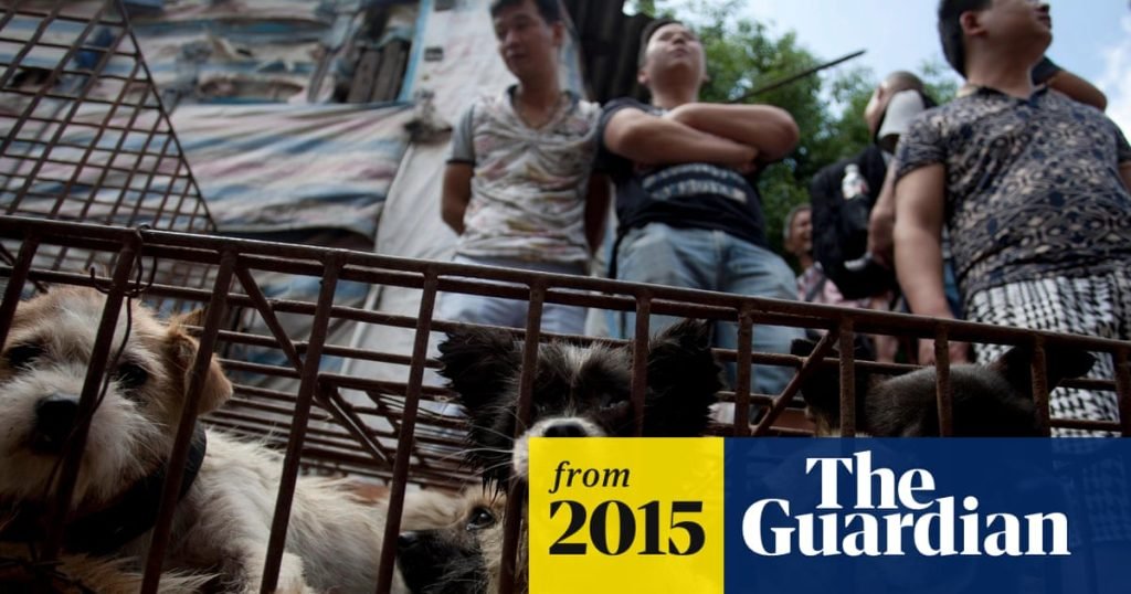 Is the Yulin Dog Festival Still Active: Latest Insights