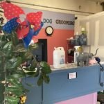 Joe Dog Grooming Winnetka Ca: Unleash Pampered Pups