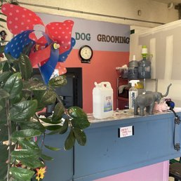 Joe Dog Grooming Winnetka Ca: Unleash Pampered Pups