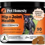 Joint Health for Dogs: Boost Mobility Naturally