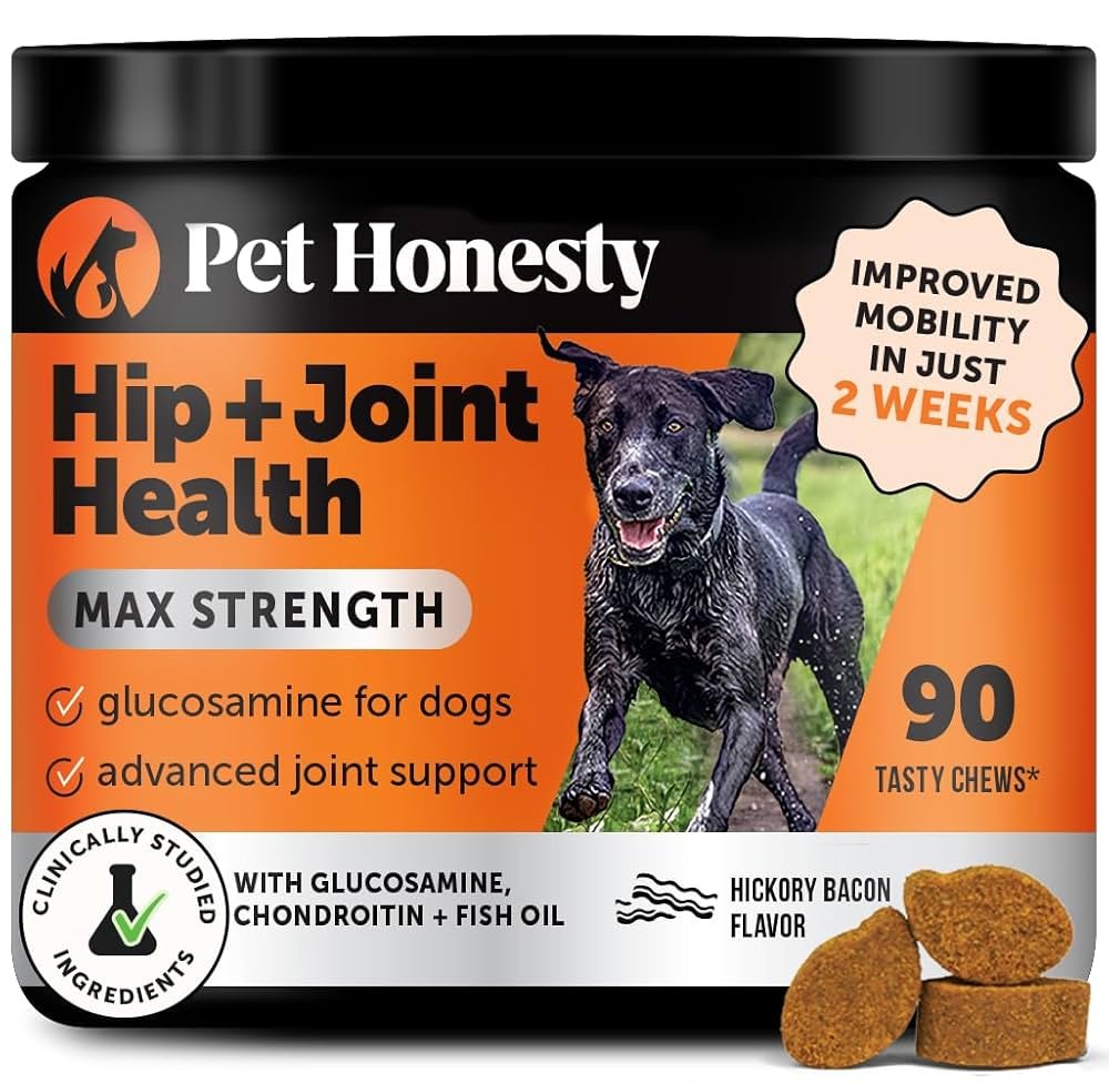 Joint Health for Dogs: Boost Mobility Naturally