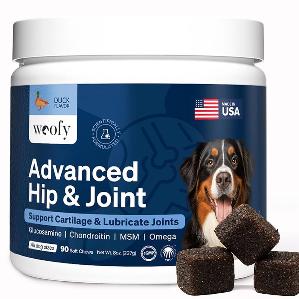 Joint Health Supplements for Dogs: Boost Mobility Naturally