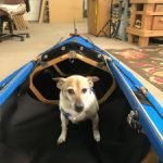 Kayak Dog Accessories: Enhance Your Paddling Adventure