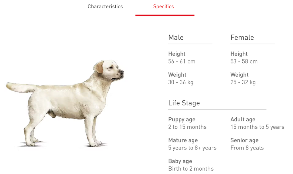 Labrador Dog Behaviour: Unraveling Their Playful Nature