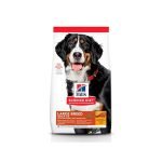 Large Dog Diet: Essential Tips for Optimal Health