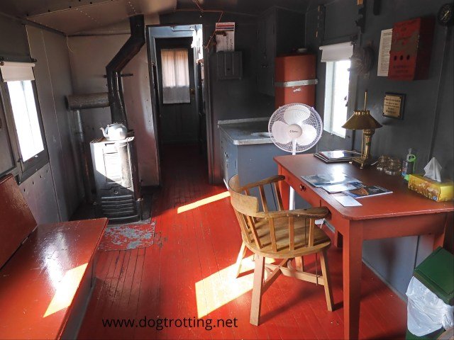 Large Dog-Friendly Trains: Travel Comfortably Together