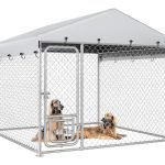 Large Outdoor Dog Kennel With Roof: Durable, Secure, and Weatherproof Enclosure