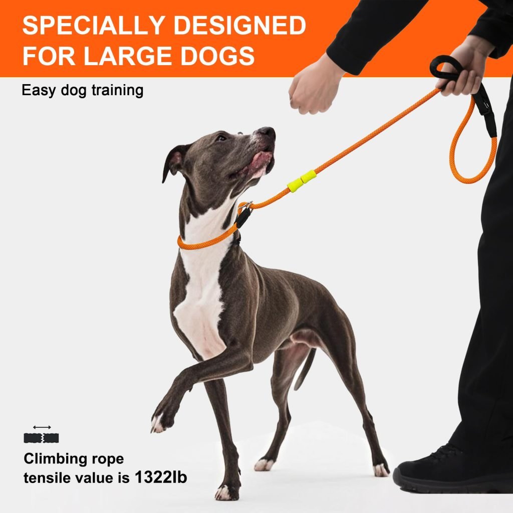 Lead Training a Dog That Pulls: Master the Walk