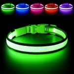 Led Light Dog Collar Night Walking: Ultimate Safety and Visibility Guide