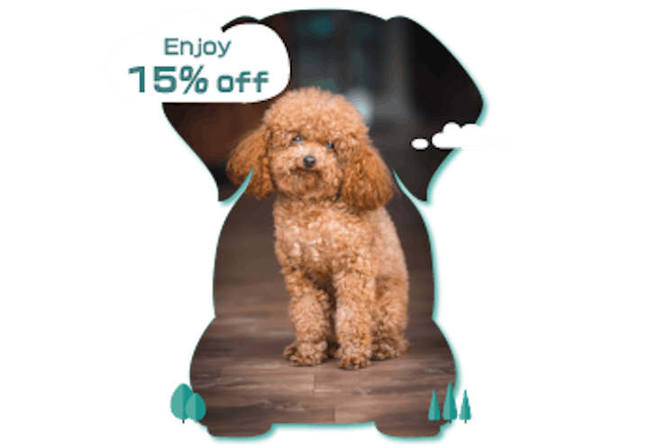 Lifelong Dog Insurance: Secure Your Pet’s Future Today