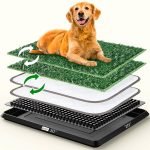 Litter Box Training Dog: Simplify Housebreaking Today