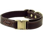 Luxury Leather Dog Collars Handmade: Stylish, Durable Comfort for Medium Dogs