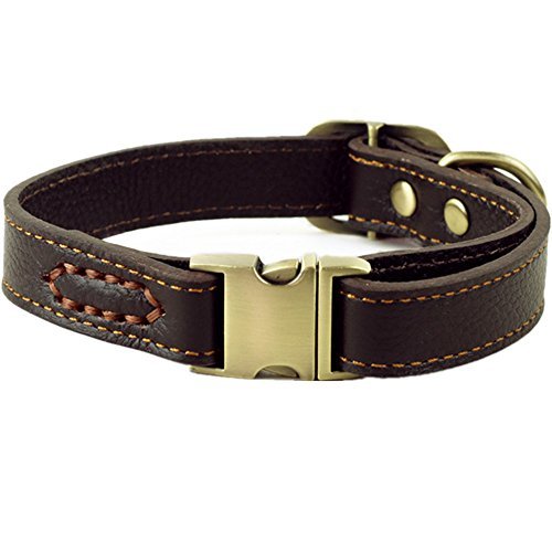 Luxury Leather Dog Collars Handmade: Stylish, Durable Comfort for Medium Dogs