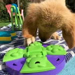 Mental Stimulation Activities for Dogs: Boost Their Brainpower