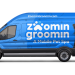 Mobile Dog Grooming Baltimore: Convenient Pet Care Solutions