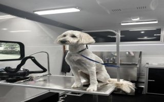 Mobile Dog Grooming Franchise for Sale: Unleash Success