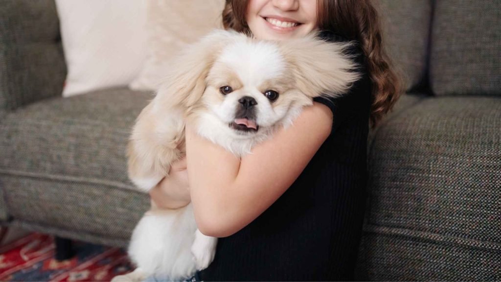 Most Affectionate Dog Breeds: Heartwarming Companions