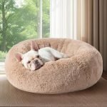 Most Comfortable Dog Bed Reviews: Top Orthopedic & Washable Picks