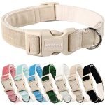 Most Comfortable Dog Collar for Small Dogs: Top Soft & Adjustable Picks