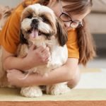Most Friendly Dog Breeds: Discover Your Perfect Pet