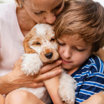 Most Loving Dog Breeds: Heartwarming Companions