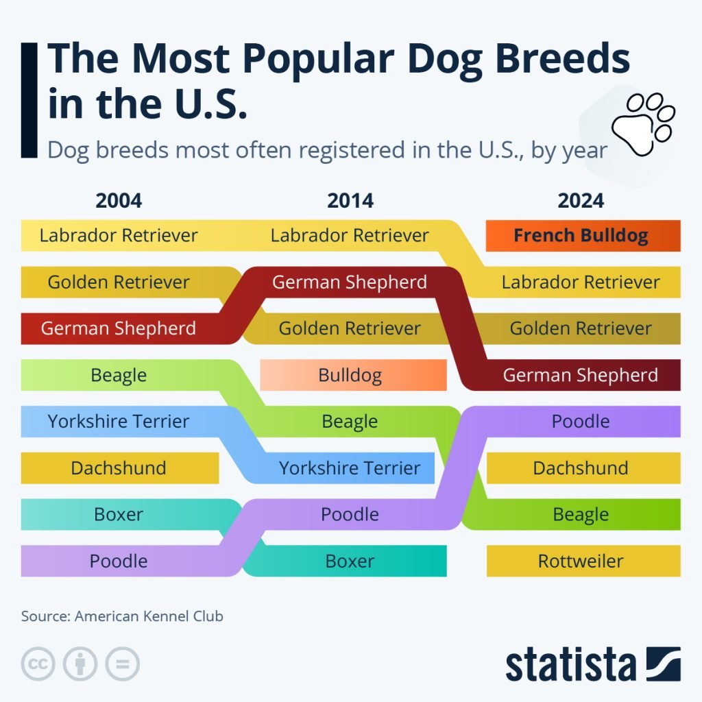 Most Popular Dog Breeds in the Us: Discover Top Favorites