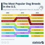 Most Popular Dogs Breeds in the Us: Top Picks Revealed