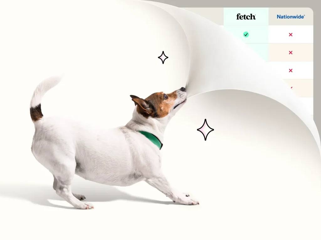 Nationwide Insurance for Dogs: Protect Your Pup Today